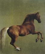 whistlejacket